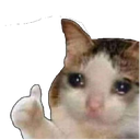catok