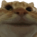 yes