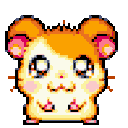 hamtarohappy