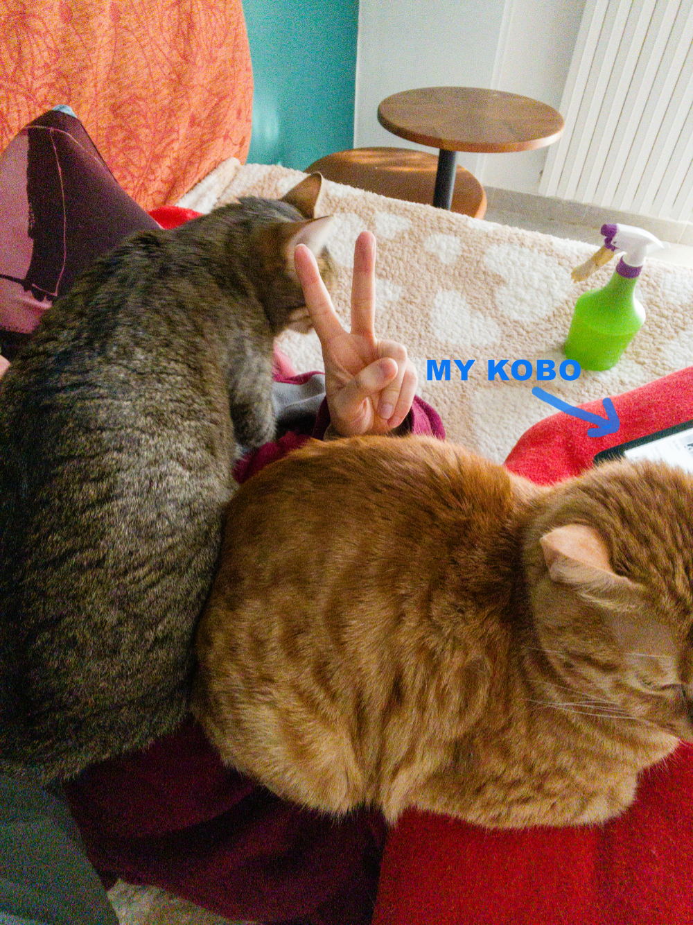 Two cats are lying on top of a person. The person's hand is visibile and doing a peace sign. There's a Kobo ereader peeking near the ginger cat.