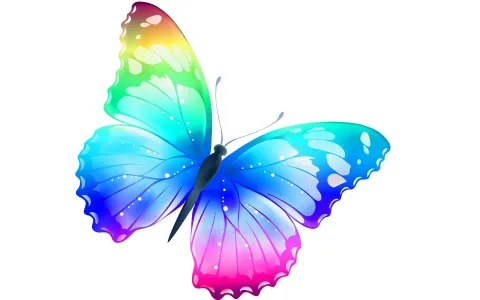 Butterfly most beautiful desktop wallpaper. HD Wallpaper Rocks