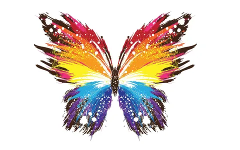 Butterfly HD Wallpaper and Background Image