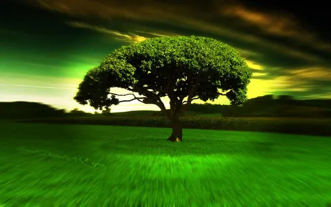 HD Wallpaper 1080p