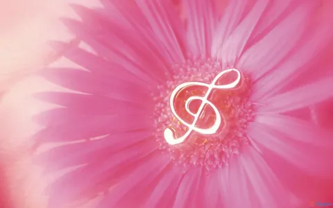 Pink Music