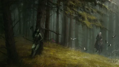 The Witcher
