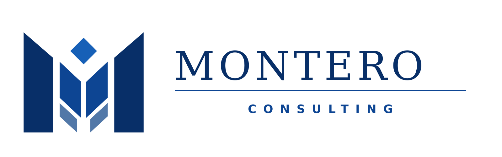 Montero Consulting